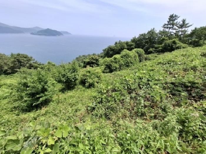 경상남도 남해군 남면 홍현리 223-2 전 경매 사진 6