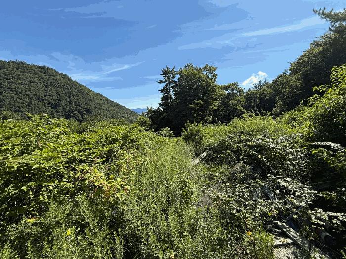 경상남도 남해군 남면 홍현리 산129 임야 경매 사진 3