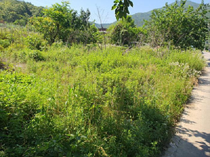 경상남도 김해시 상동면 여차리 793-4 대지 경매 사진 5