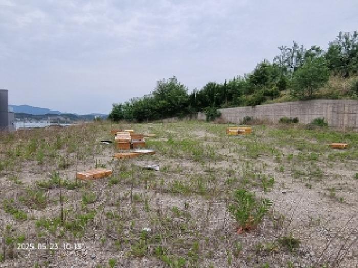 경상남도 창원시 의창구 대산면 우암리 328 임야 경매 사진 13