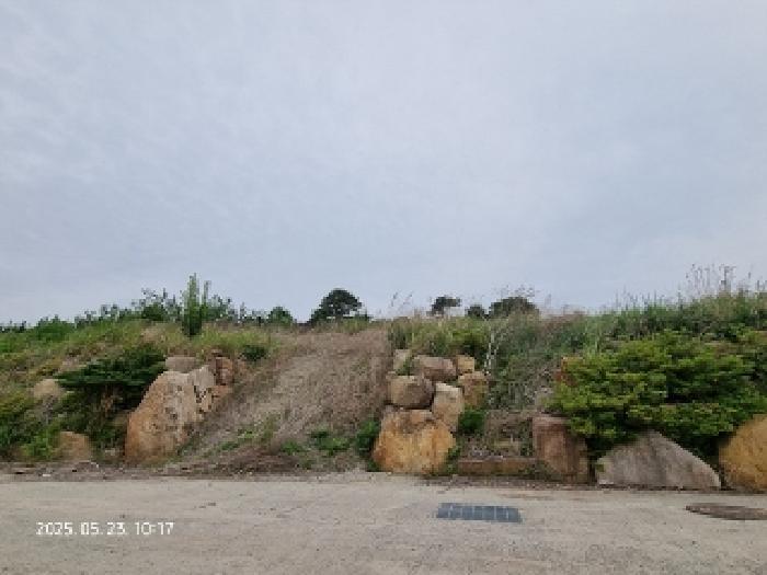 경상남도 창원시 의창구 대산면 우암리 328 임야 경매 사진 15