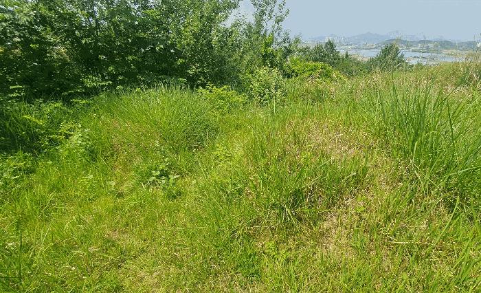 경상남도 창원시 의창구 대산면 우암리 328 임야 경매 사진 4