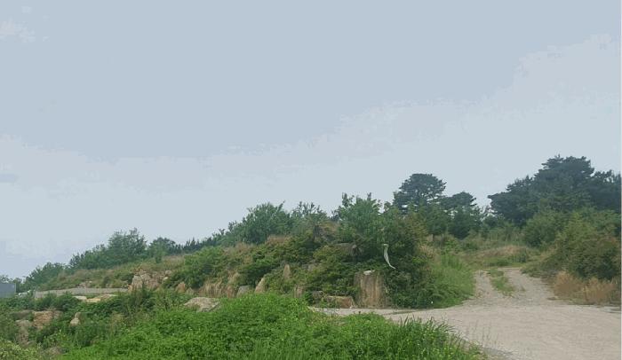 경상남도 창원시 의창구 대산면 우암리 328 임야 경매 사진 5