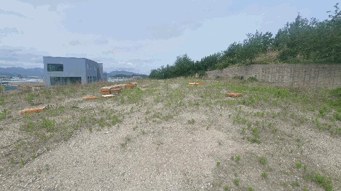 경상남도 창원시 의창구 대산면 우암리 328 임야 경매 사진 8