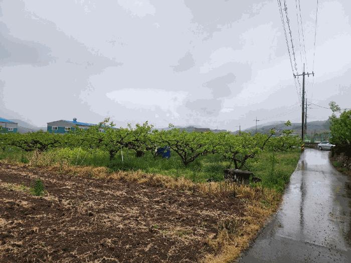 경상남도 창원시 의창구 북면 월백리 124 전 경매 사진 5