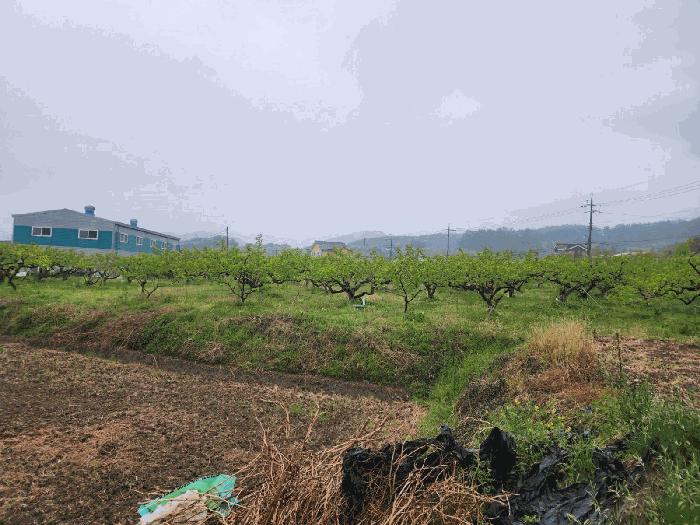 경상남도 창원시 의창구 북면 월백리 124 전 경매 사진 8