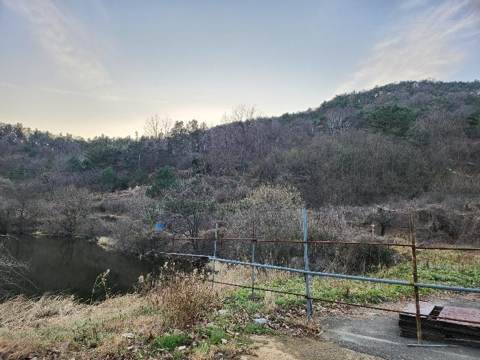 경상북도 영천시 금호읍 구암리 산93 임야 경매 사진 22