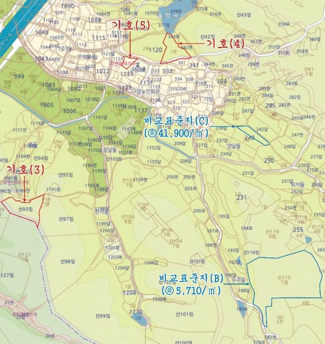 경상북도 영천시 금호읍 구암리 산93 임야 경매 사진 24