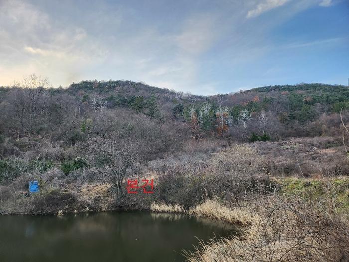 경상북도 영천시 금호읍 구암리 산93 임야 경매 사진 4