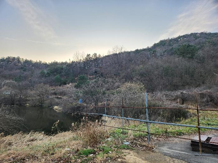 경상북도 영천시 금호읍 구암리 1120-1 전 경매 사진 1