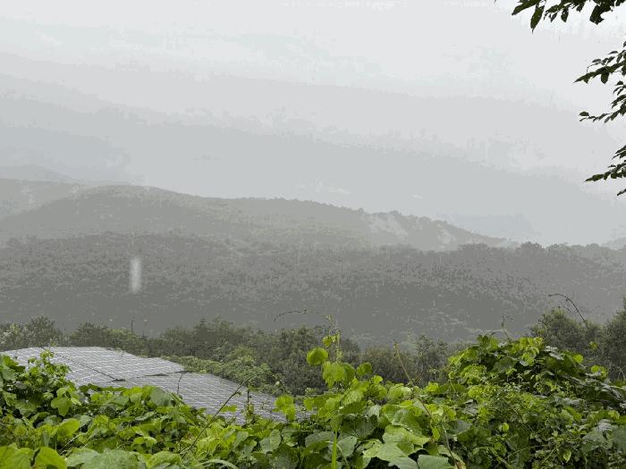 전라남도 화순군 동복면 연월리 792-1 전 경매 사진 12