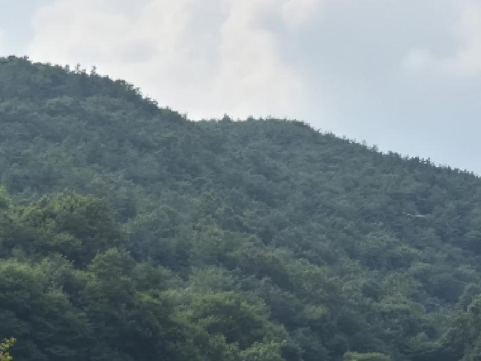 전라남도 화순군 동복면 연월리 792-1 전 경매 사진 22