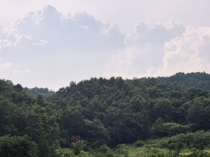 전라남도 화순군 동복면 가수리 445 전 경매 사진 17