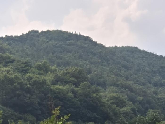 전라남도 화순군 동복면 가수리 445 전 경매 사진 23