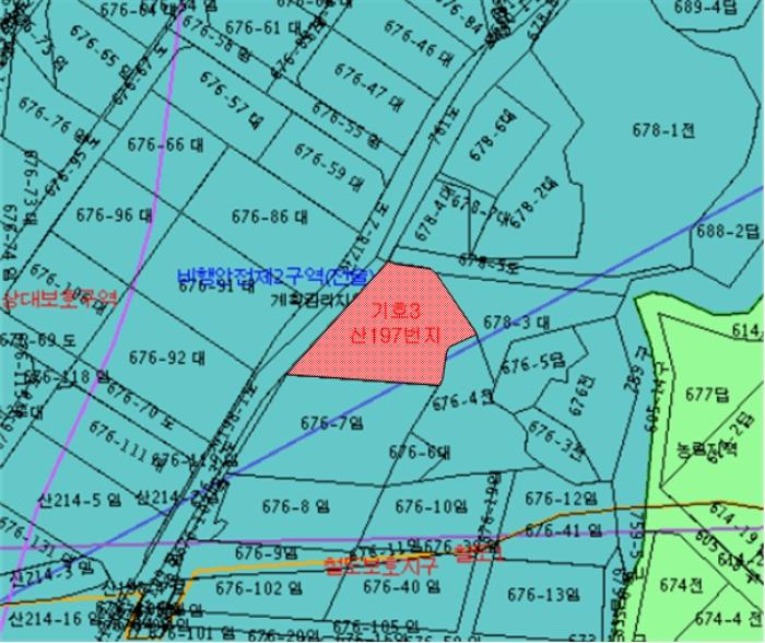 강원특별자치도 강릉시 구정면 여찬리 산197 임야 경매 사진 16