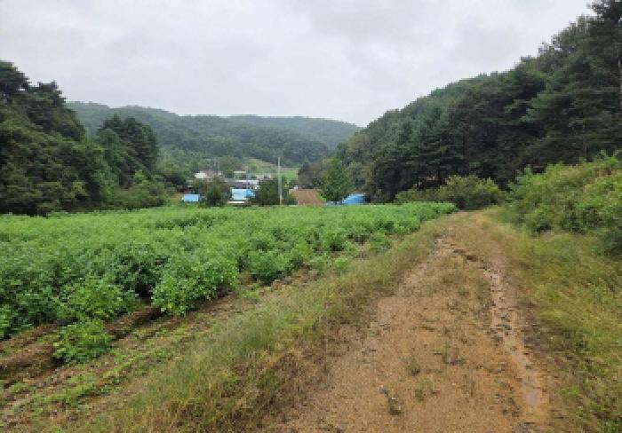 충청남도 아산시 도고면 농은리 374 전 경매 사진 12