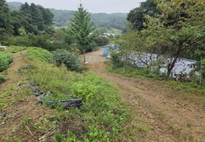 충청남도 아산시 도고면 농은리 374 전 경매 사진 17