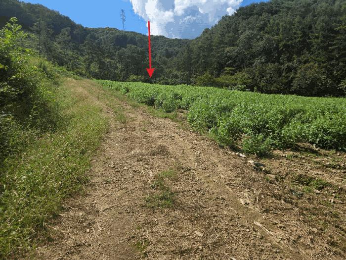 충청남도 아산시 도고면 농은리 374 전 경매 사진 2
