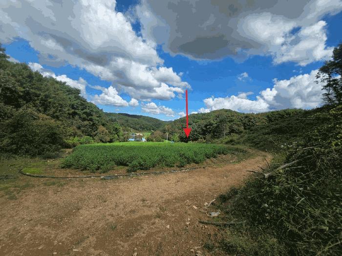충청남도 아산시 도고면 농은리 374 전 경매 사진 4