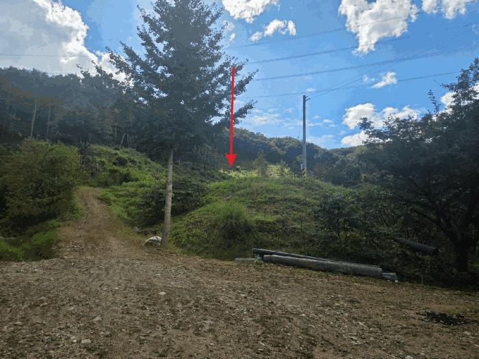 충청남도 아산시 도고면 농은리 374 전 경매 사진 7
