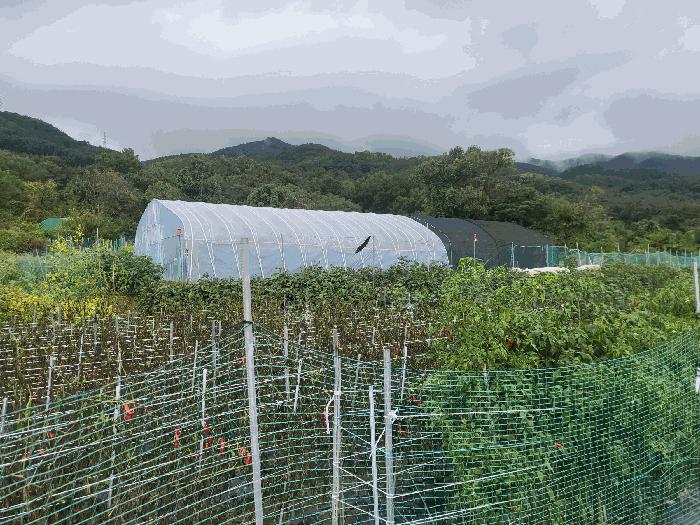 경상북도 칠곡군 북삼읍 어로리 464 전 경매 사진 5