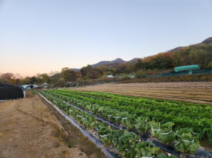경상북도 칠곡군 북삼읍 어로리 464 전 경매 사진 7