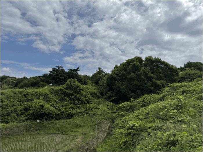 전북 순창군 답