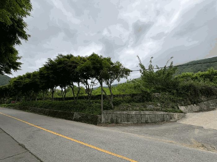 전라남도 화순군 화순읍 수만리 201 전 경매 사진 2