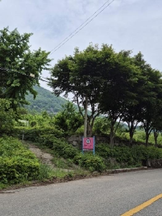 전라남도 화순군 화순읍 수만리 201 전 경매 사진 8