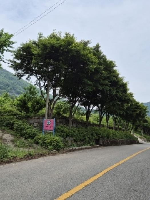 전라남도 화순군 화순읍 수만리 201 전 경매 사진 9