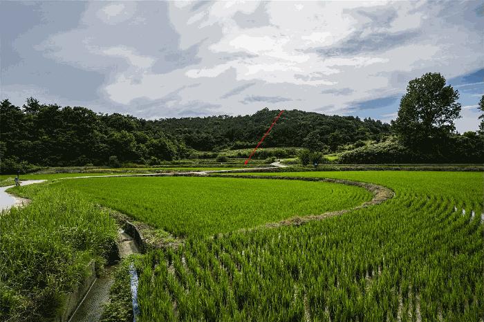 광주 북구 답
