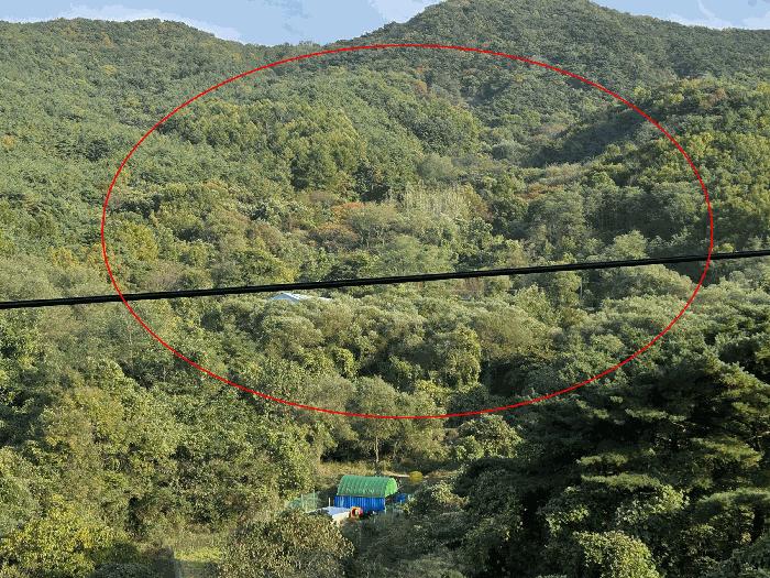 경상북도 경주시 건천읍 화천리 2540 임야 경매 사진 1