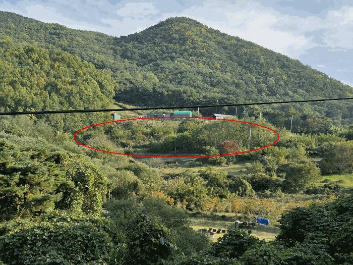 경상북도 경주시 건천읍 화천리 2540 임야 경매 사진 6