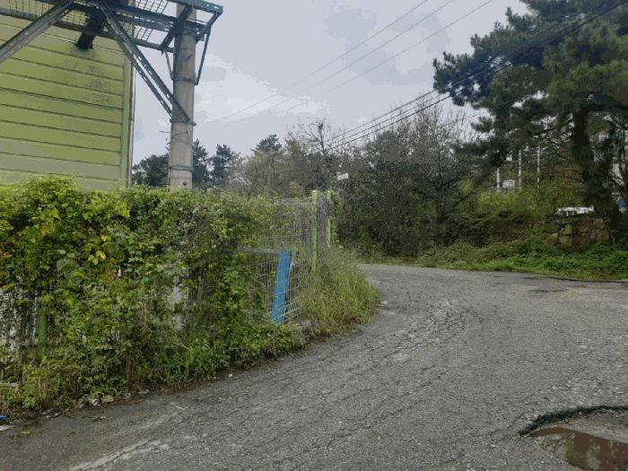 경상북도 경주시 외동읍 구어리 966-1 답 경매 사진 9
