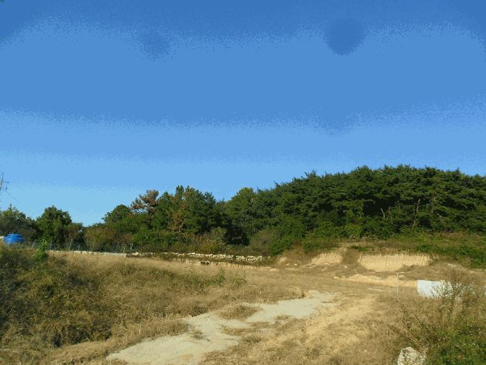 경상북도 경주시 배반동 산16 임야 경매 사진 1