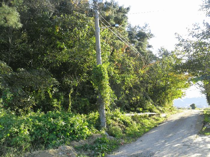 경상북도 경주시 배반동 산16 임야 경매 사진 3