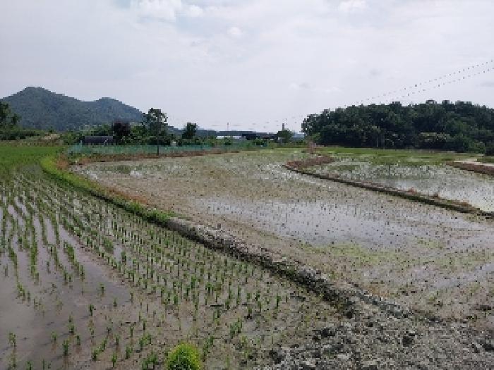 충청남도 공주시 계룡면 중장리 389-1 종교시설 경매 사진 14
