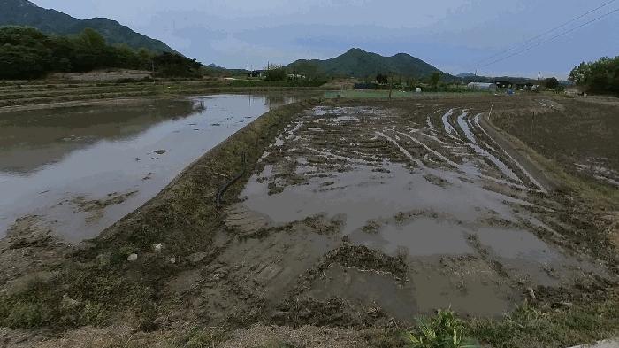 충청남도 공주시 계룡면 중장리 389-1 종교시설 경매 사진 7