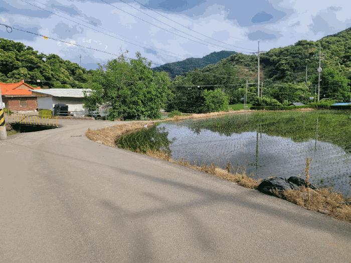 충청남도 공주시 정안면 태성리 129-1 답 경매 사진 2