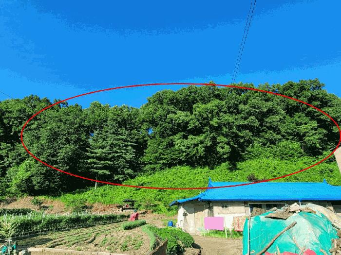 충청남도 공주시 유구읍 유구리 산89 임야 경매 사진 1