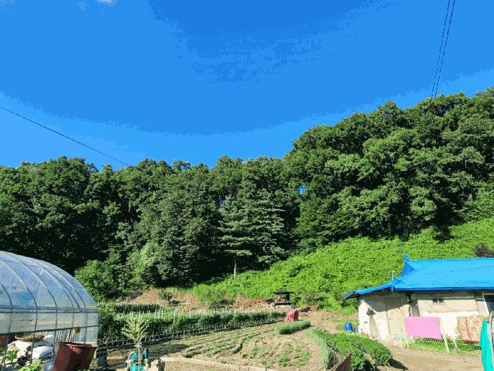 충청남도 공주시 유구읍 유구리 산89 임야 경매 사진 2
