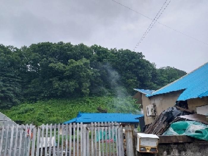 충청남도 공주시 유구읍 유구리 산89 임야 경매 사진 3