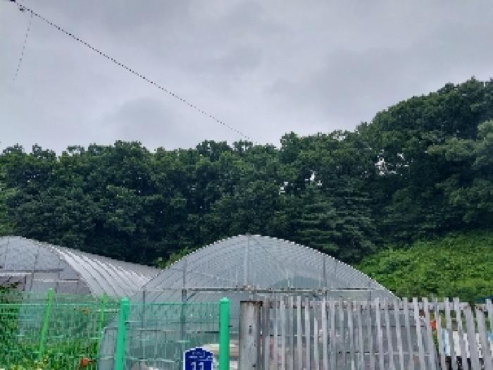 충청남도 공주시 유구읍 유구리 산89 임야 경매 사진 4