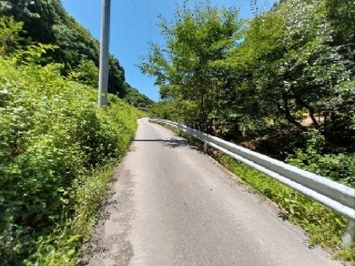 충청남도 공주시 정안면 태성리 122 답 경매 사진 12