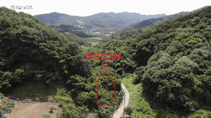 충청남도 공주시 정안면 태성리 122 답 경매 사진 4