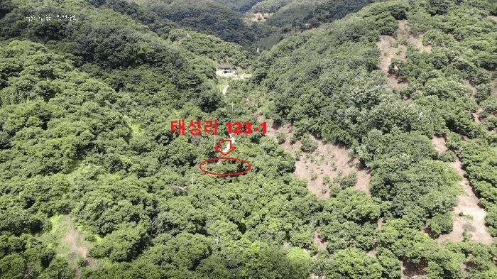 충청남도 공주시 정안면 태성리 217 답 경매 사진 1