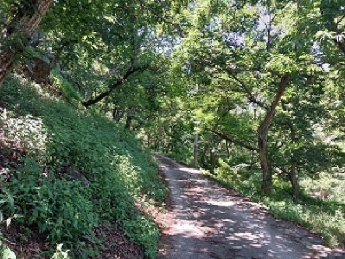 충청남도 공주시 정안면 태성리 217 답 경매 사진 10