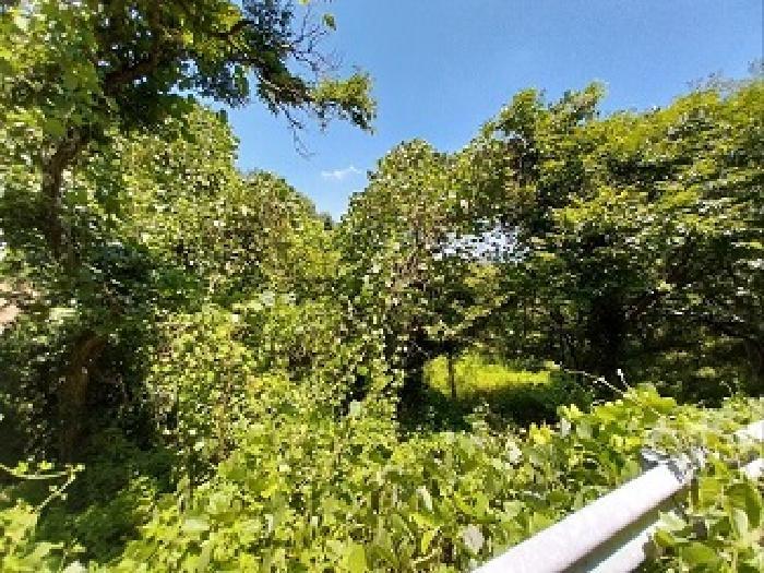 충청남도 공주시 정안면 태성리 217 답 경매 사진 11