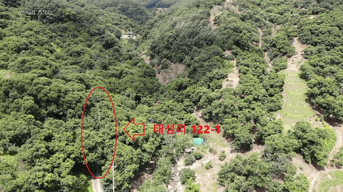 충청남도 공주시 정안면 태성리 217 답 경매 사진 2