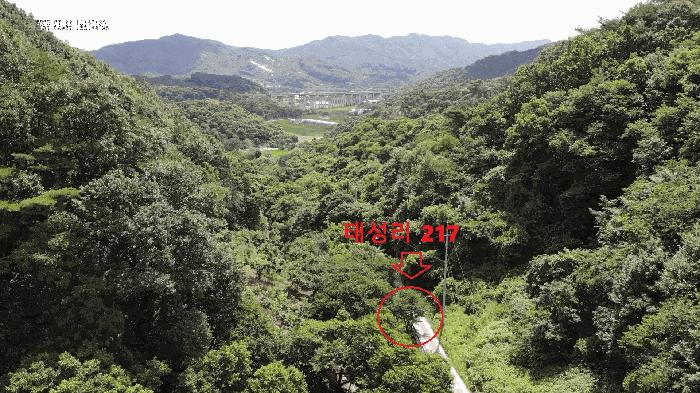 충청남도 공주시 정안면 태성리 217 답 경매 사진 3
